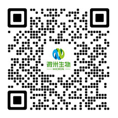 辣椒视频最新官网生物-辣椒视频/辣椒视频网站app下载/辣椒黄色网站视频厂家-项目投资运营商